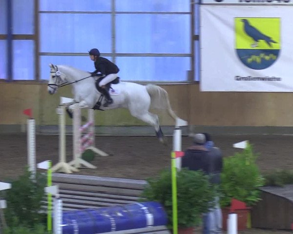 Reitturnier Großenwiehe 2018