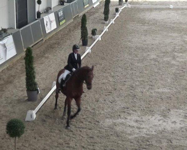 Reitturnier Mönchengladbach-Abtshof 2018