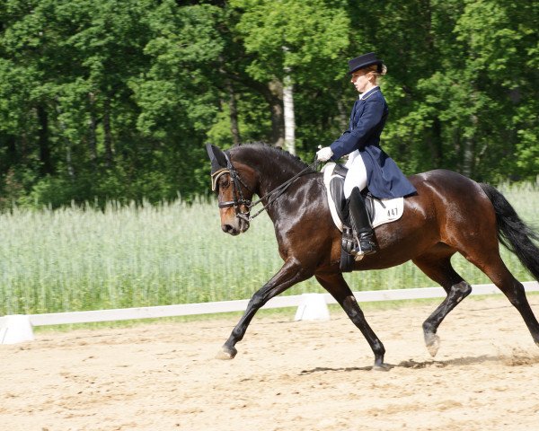 dressage horse Escada 97 (Oldenburg, 2000, from Royal Diamond)