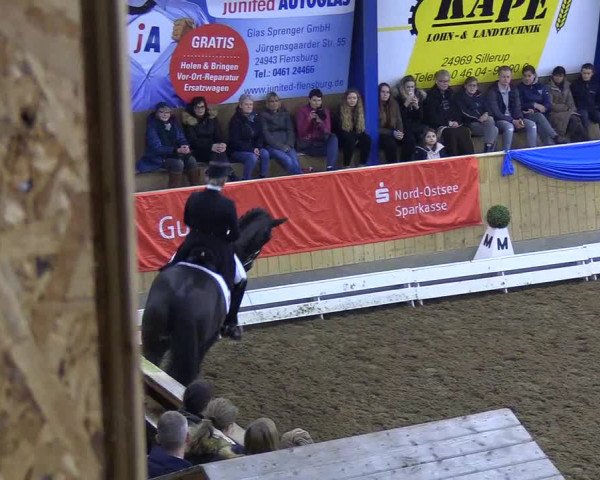 Reitturnier Großenwiehe 2018