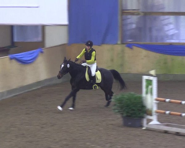 Reitturnier Großenwiehe 2018