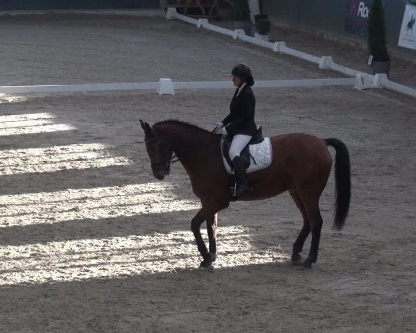 Reitturnier Mönchengladbach-Abtshof 2018