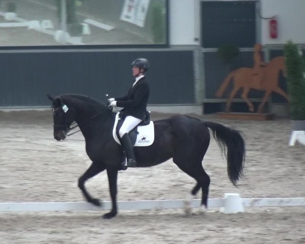 Reitturnier Mönchengladbach-Abtshof 2018