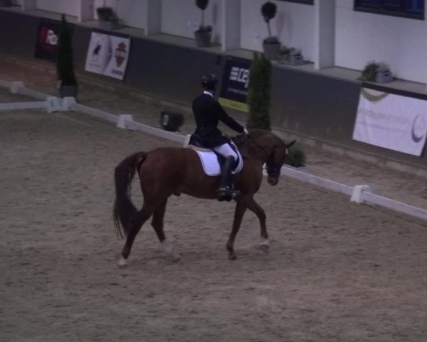 Reitturnier Mönchengladbach-Abtshof 2018