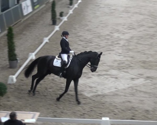 Reitturnier Mönchengladbach-Abtshof 2018