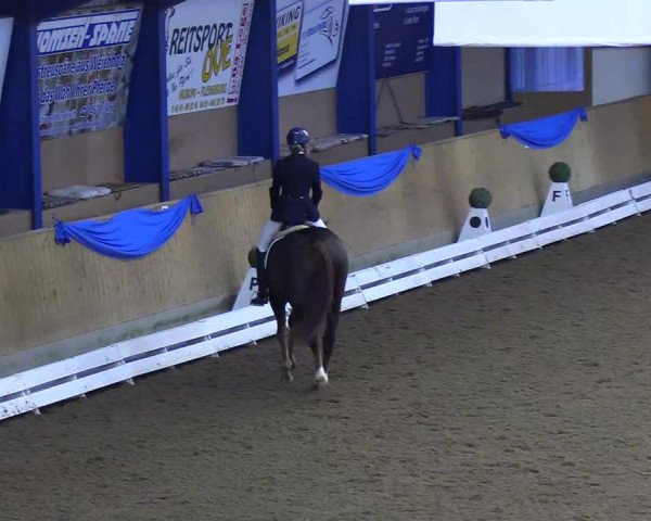 Reitturnier Großenwiehe 2018