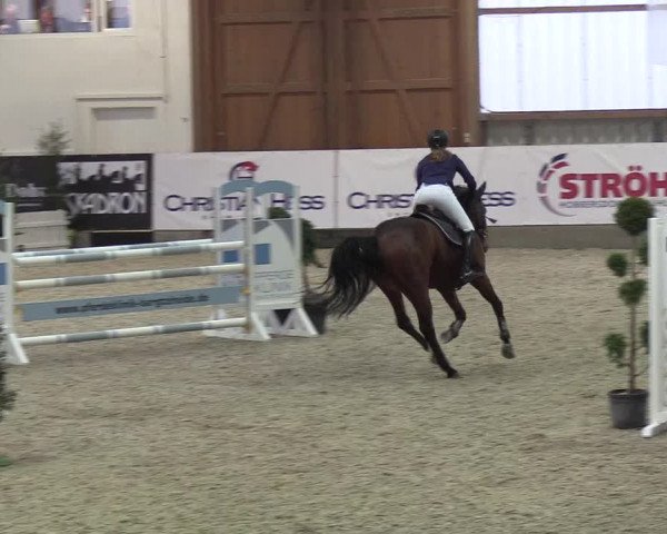 Nordic Jumping events 2018