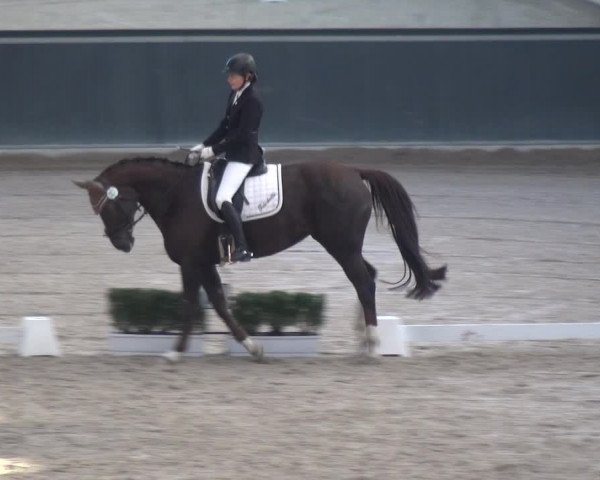 Reitturnier Mönchengladbach-Abtshof 2018