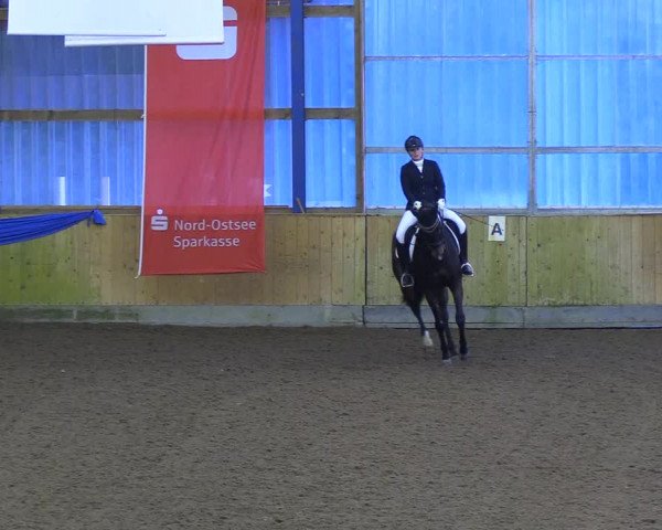 Reitturnier Großenwiehe 2018