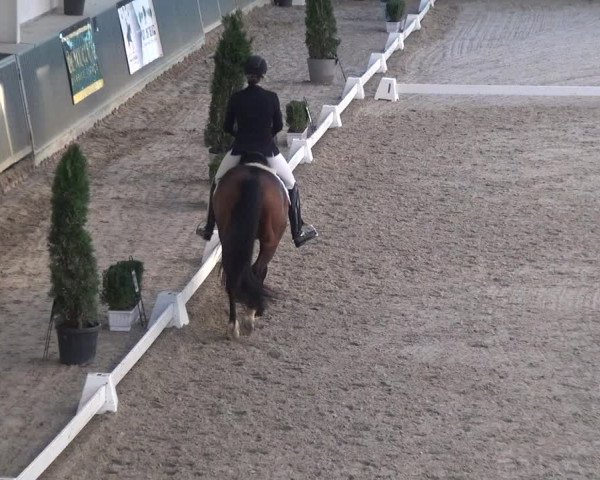 Reitturnier Mönchengladbach-Abtshof 2018