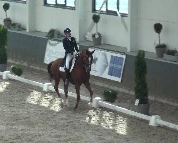 Reitturnier Mönchengladbach-Abtshof 2018