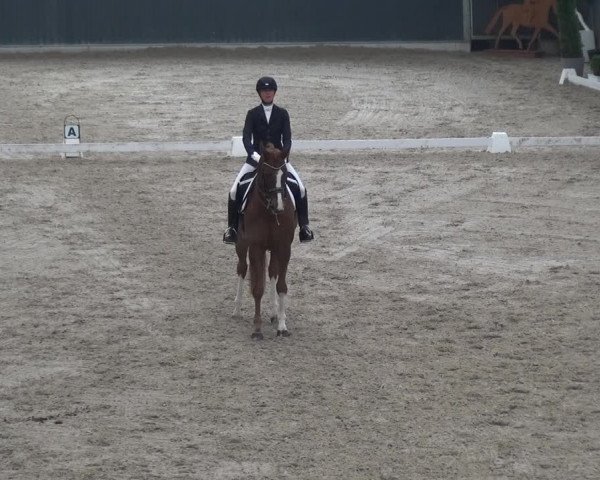 Reitturnier Mönchengladbach-Abtshof 2018