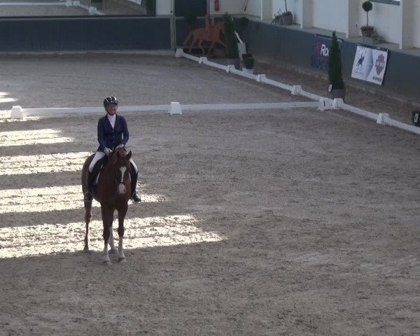 Reitturnier Mönchengladbach-Abtshof 2018