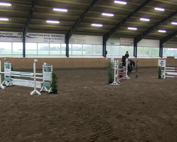 Reitturnier Niebüll 2018