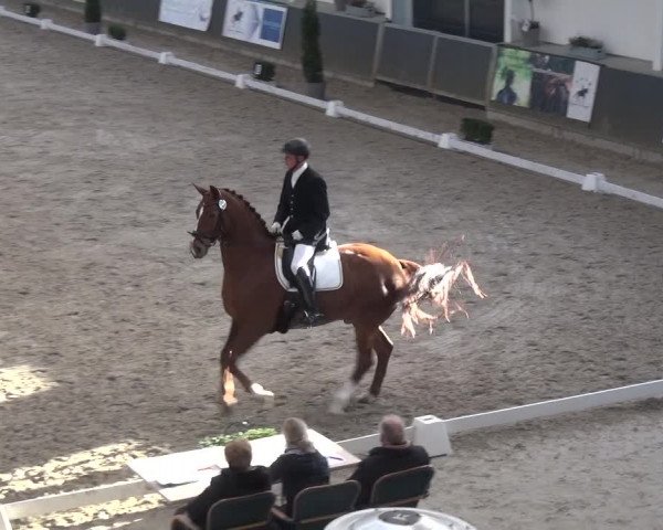 Reitturnier Mönchengladbach-Abtshof 2018