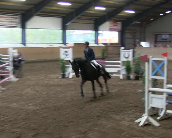 Reitturnier Niebüll 2018