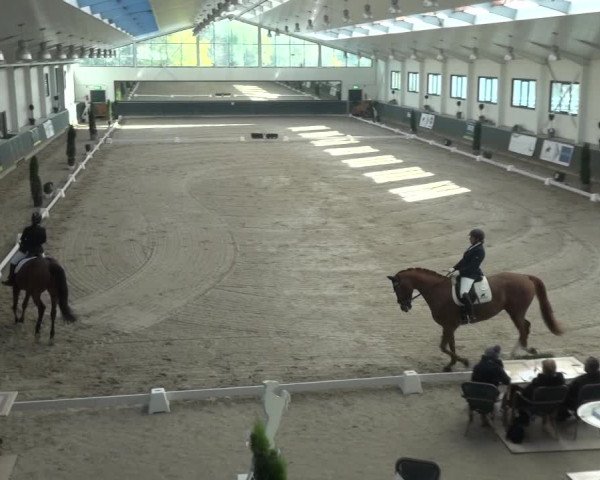 Reitturnier Mönchengladbach-Abtshof 2018
