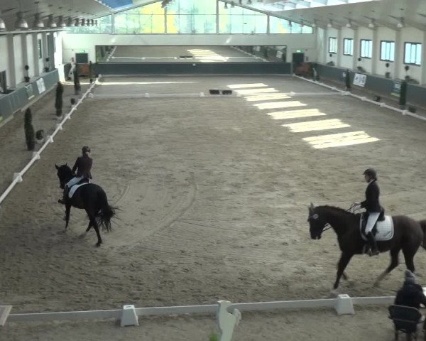 Reitturnier Mönchengladbach-Abtshof 2018