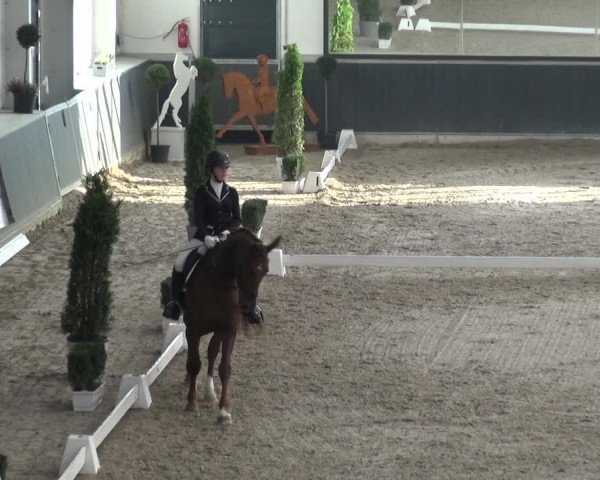 Reitturnier Mönchengladbach-Abtshof 2018