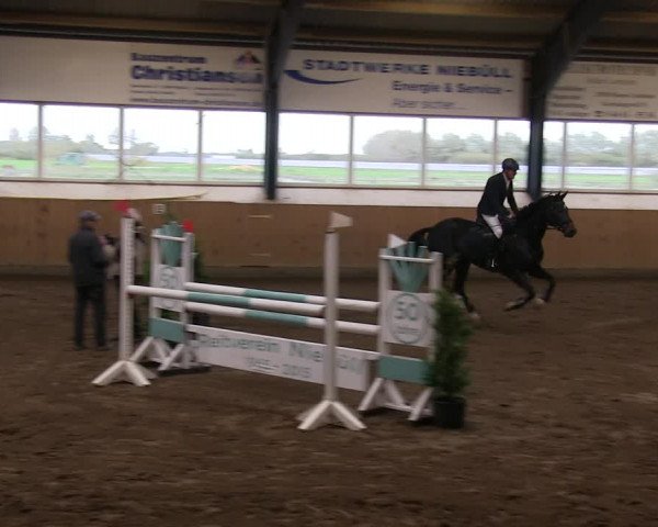 Reitturnier Niebüll 2018