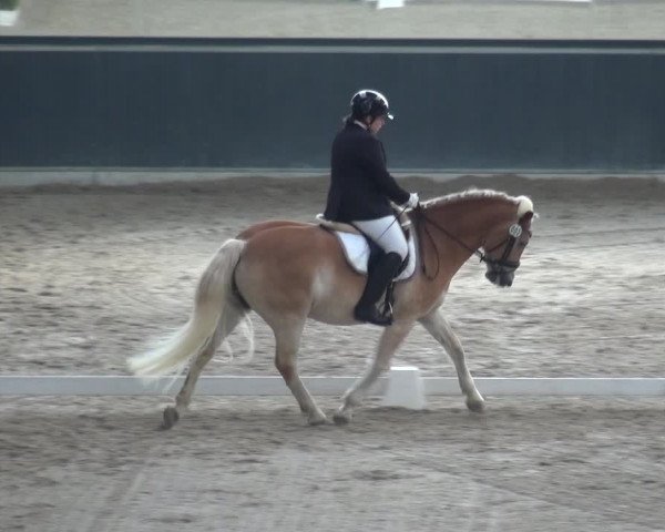 Reitturnier Mönchengladbach-Abtshof 2018