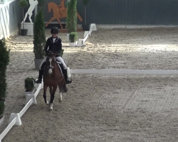 Reitturnier Mönchengladbach-Abtshof 2018