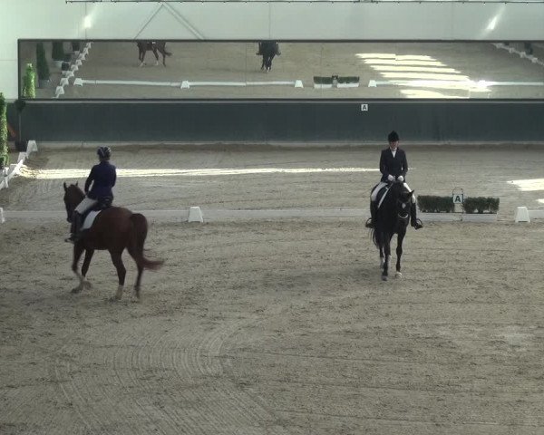 Reitturnier Mönchengladbach-Abtshof 2018