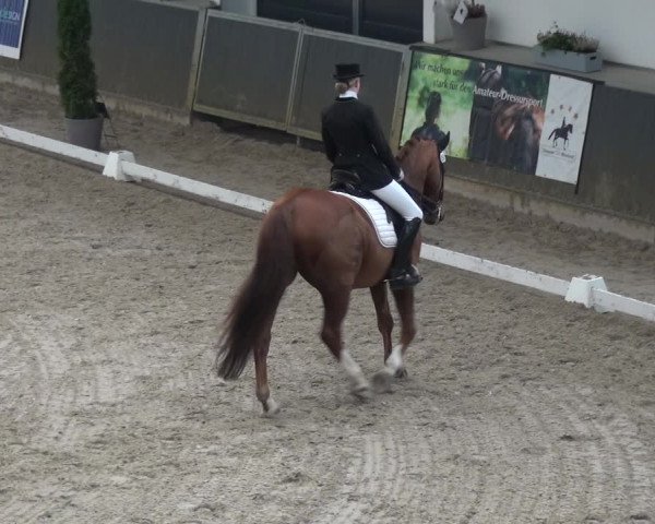 Reitturnier Mönchengladbach-Abtshof 2018