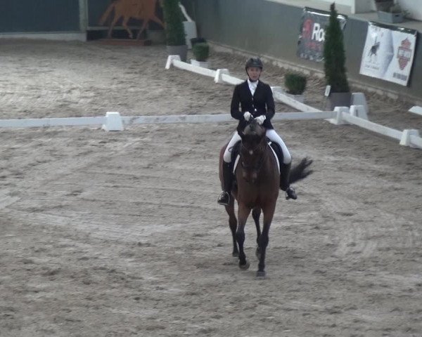 Reitturnier Mönchengladbach-Abtshof 2018