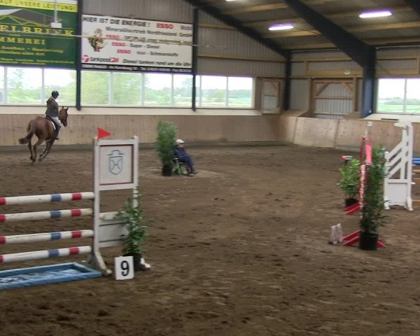 Reitturnier Niebüll 2018