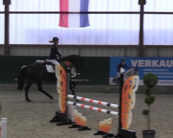 Nordic Jumping events 2018