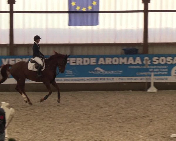 Nordic Jumping events 2018