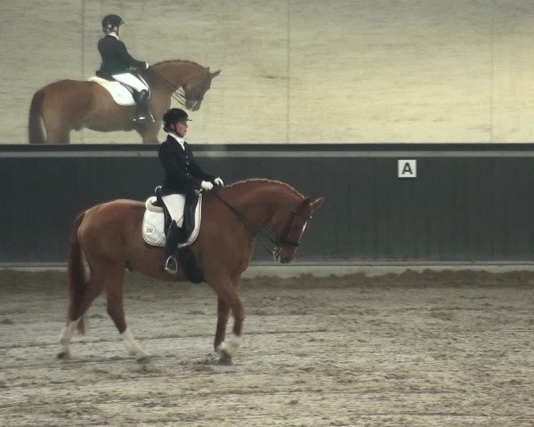 Reitturnier Mönchengladbach-Abtshof 2018