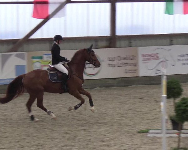 Nordic Jumping events 2018