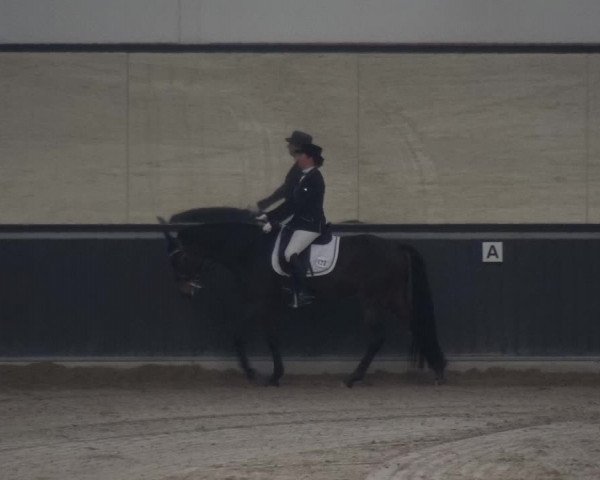 Reitturnier Mönchengladbach-Abtshof 2018