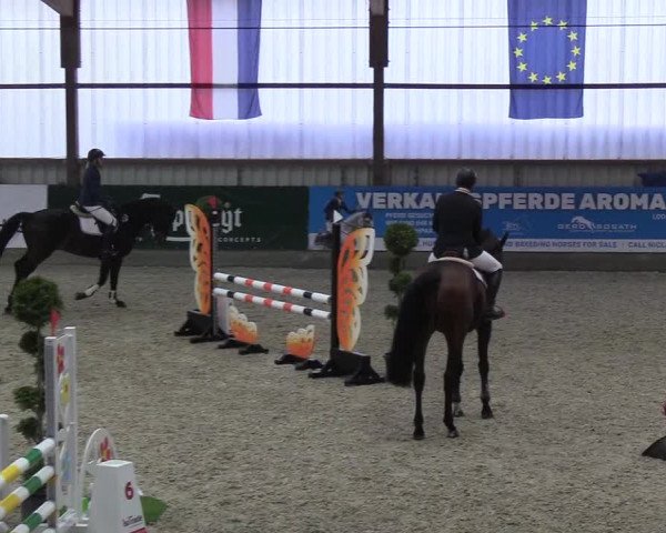 Nordic Jumping events 2018