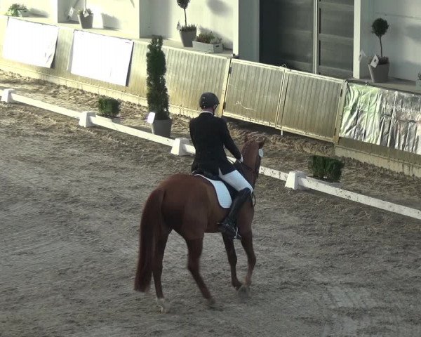 Reitturnier Mönchengladbach-Abtshof 2018