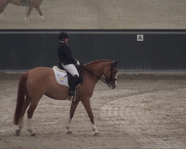 Reitturnier Mönchengladbach-Abtshof 2018