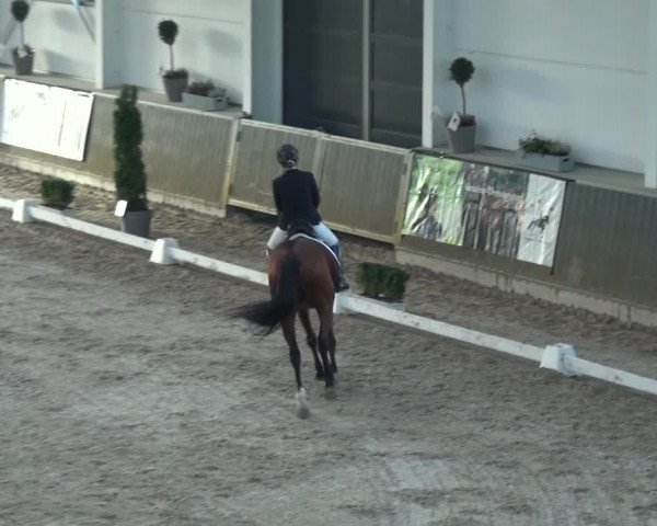 Reitturnier Mönchengladbach-Abtshof 2018