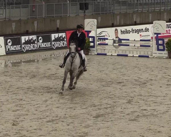 Reitturnier Westergellersen 2021