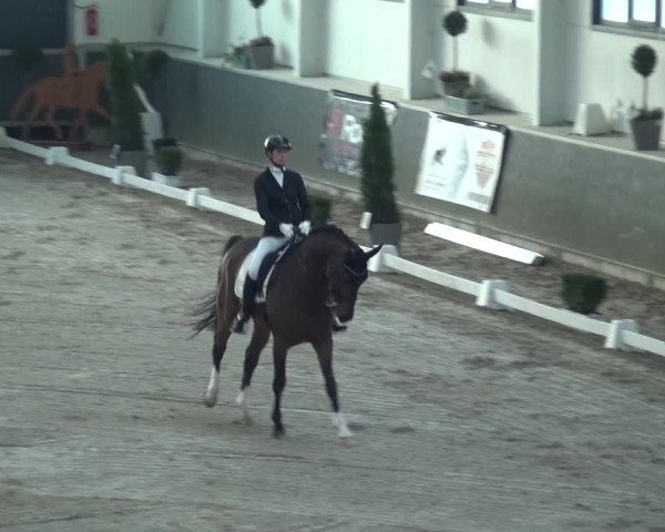 Reitturnier Mönchengladbach-Abtshof 2018