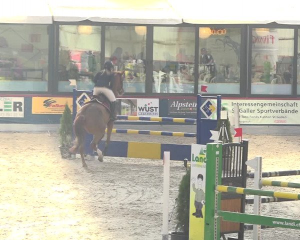 Pferdesporttage Oberriet 2018
