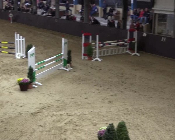 Reitturnier Legden 2018