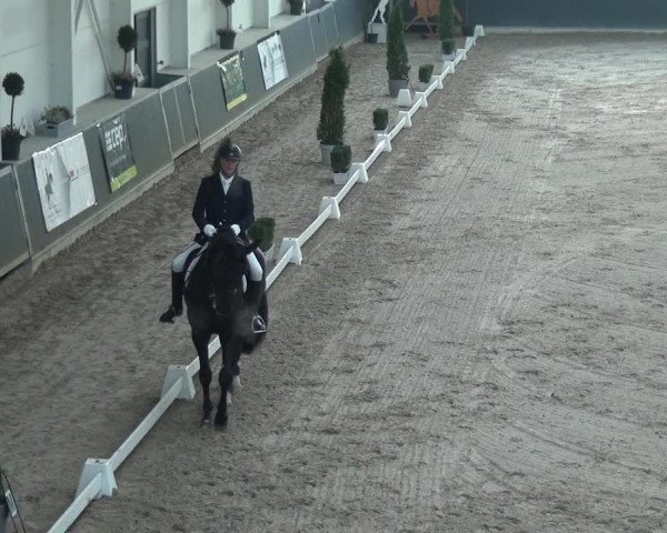Reitturnier Mönchengladbach-Abtshof 2018