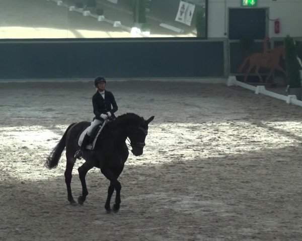 Reitturnier Mönchengladbach-Abtshof 2018