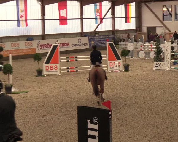 Nordic Jumping events 2018
