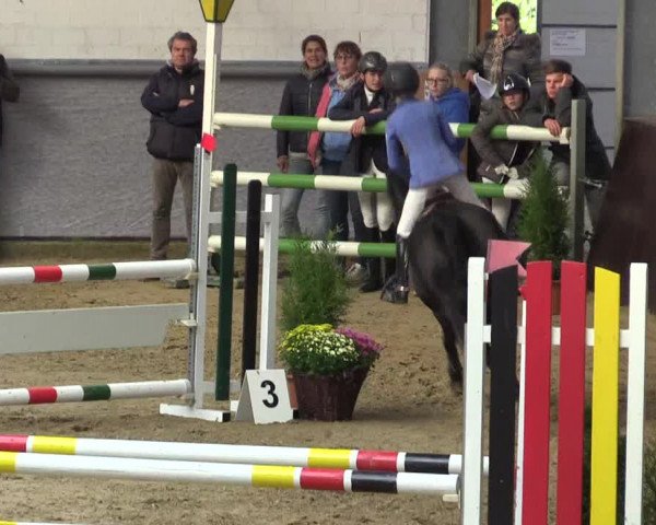 Reitturnier Legden 2018