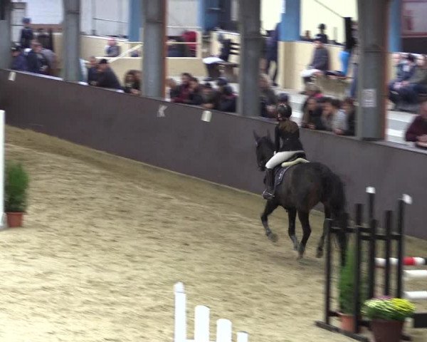 Reitturnier Legden 2018