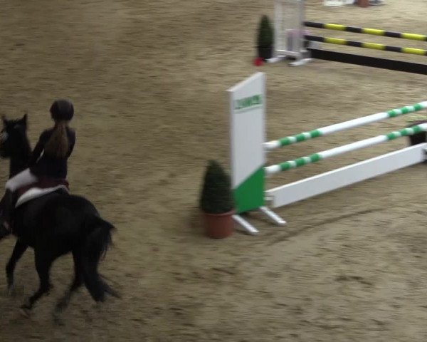 Reitturnier Legden 2018