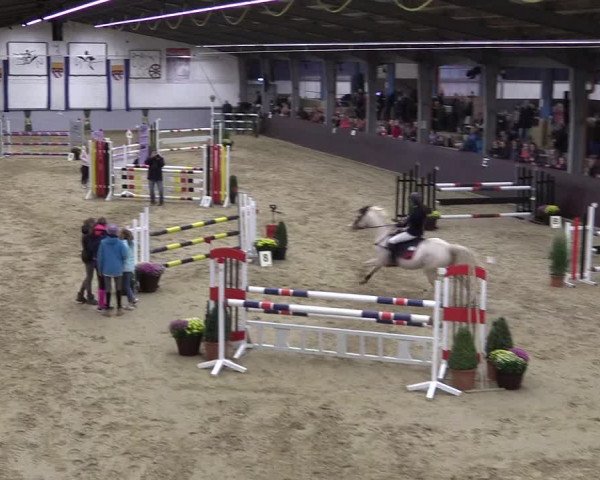 Reitturnier Legden 2018